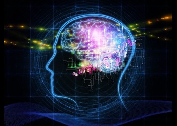 What to Expect from a Machine Learning Course in Noida? A Step-by-Step Guide